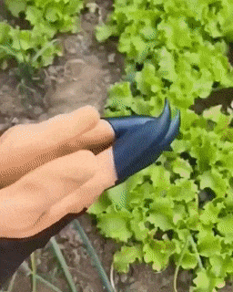 corlado | Garten Pflanzenhandschuhe