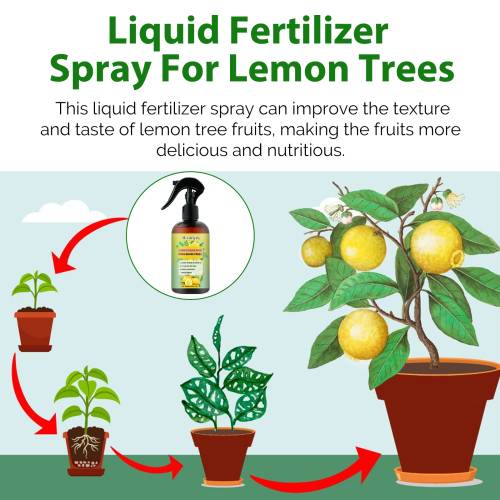 Zitronenbaum Flüssigdünger-Spray