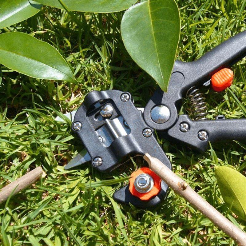corlado | Professionelles Gartenveredlungswerkzeug-Set