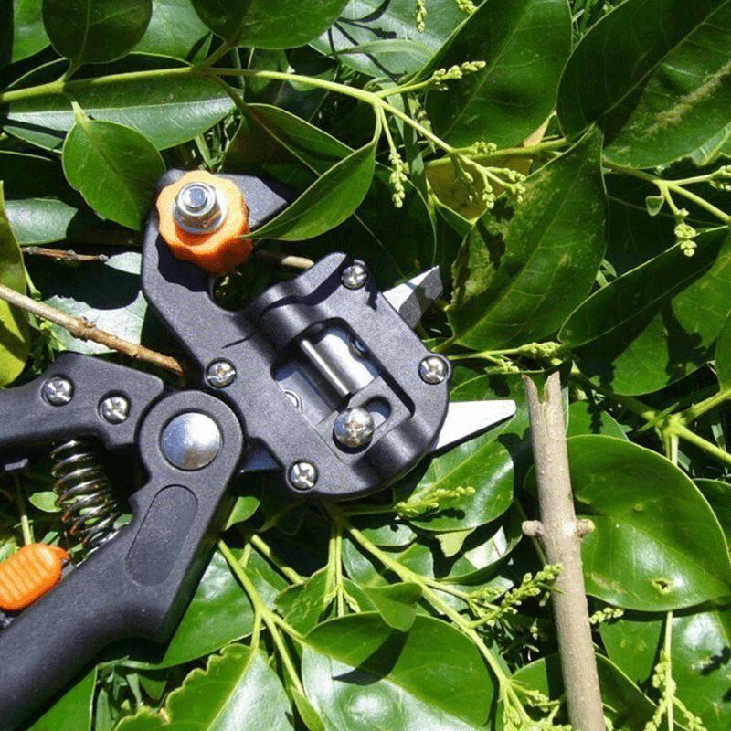 corlado | Professionelles Gartenveredlungswerkzeug-Set