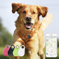 corlado | Smart GPS-Tracker für Haustiere