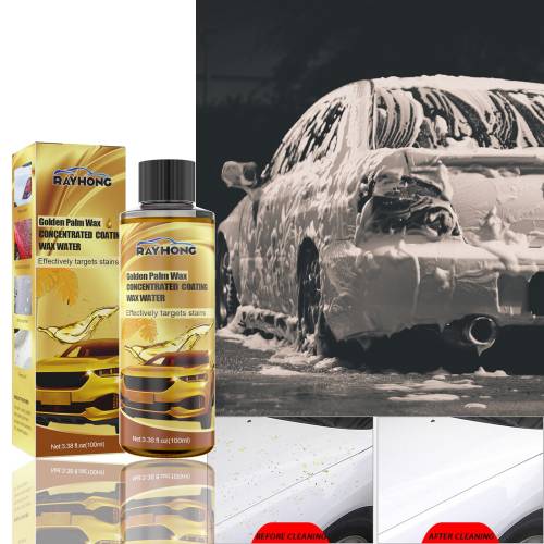 Carnauba Wasch- und Wachsshampoo