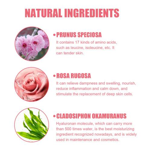 Pflaume Rose Lotion für Frauen