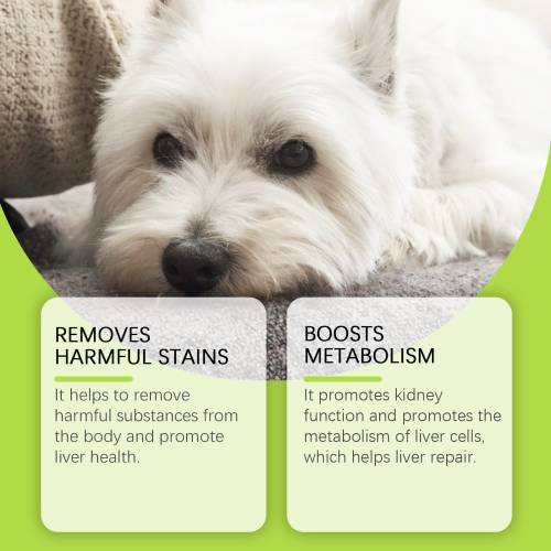 Nährstofftropfen für Hunde