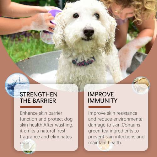 Sanftes Hundeshampoo