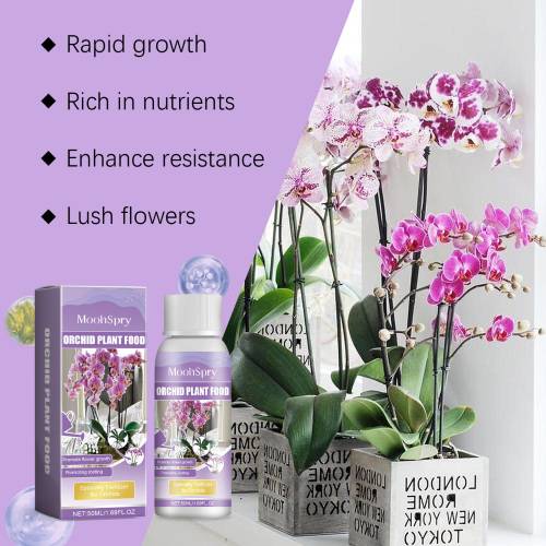 Orchideen Algen-Nährlösung