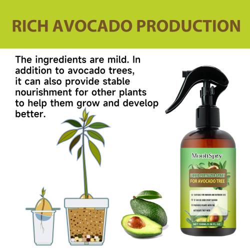 Avocadobaum 3-1-2 Flüssigdünger
