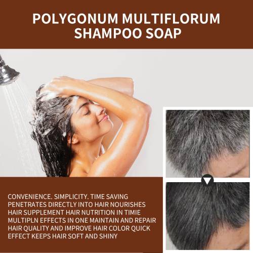 He Shou Wu Reparatur-Shampoo