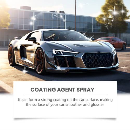 Lack-Versiegelungsspray
