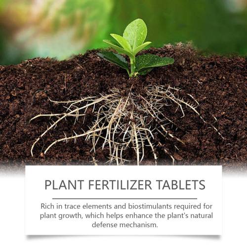 Bio Langzeit-Düngetabletten