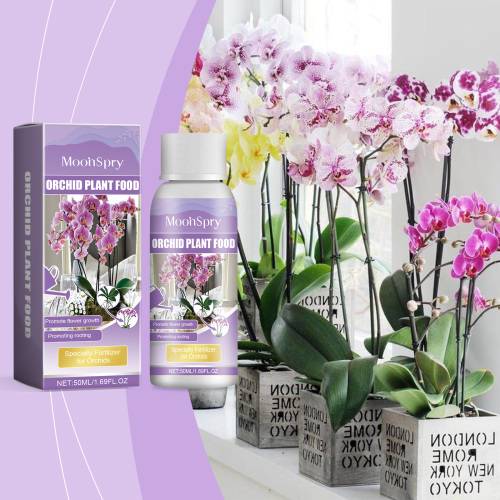 Orchideen Algen-Nährlösung
