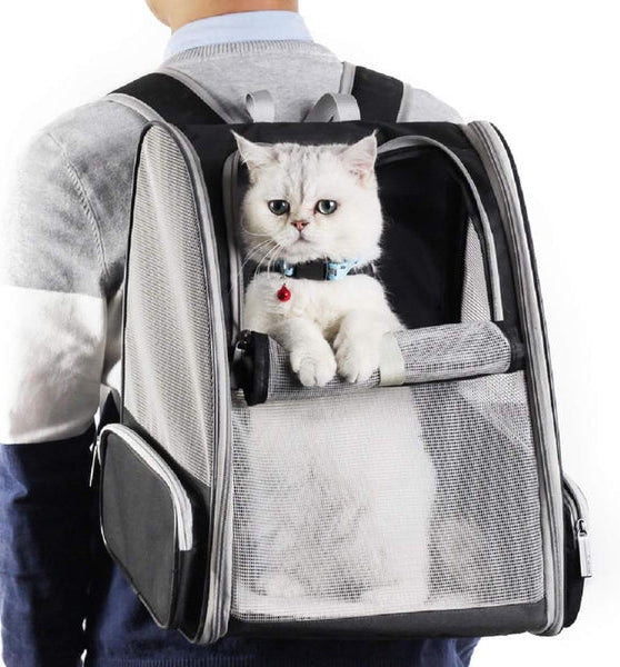 corlado | Rucksackträger Katze