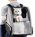 corlado | Rucksackträger Katze
