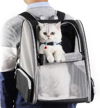 corlado | Rucksackträger Katze