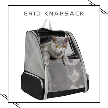 corlado | Rucksackträger Katze