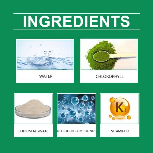 Chlorophyll Pflanzenspray