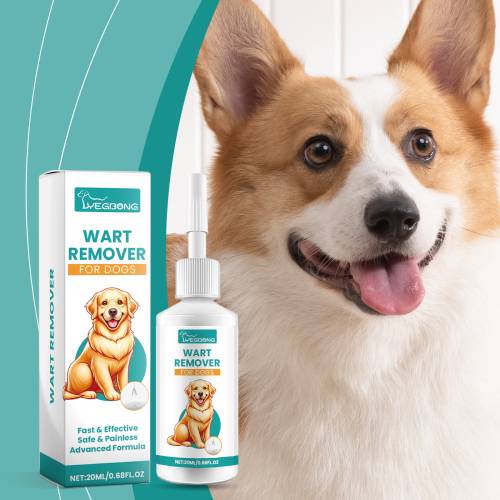 Sanfte Hundehaut-Pflegeflüssigkeit