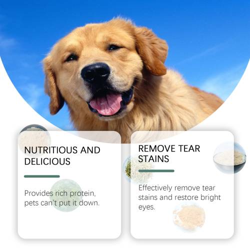Tabletten für Hunde mit Tränenflecken