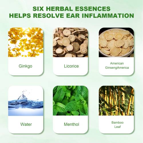 Ginkgo Ginseng Ohrtropfen