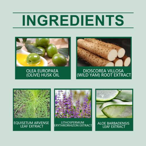 Beinwell Aloe Creme für Frauen