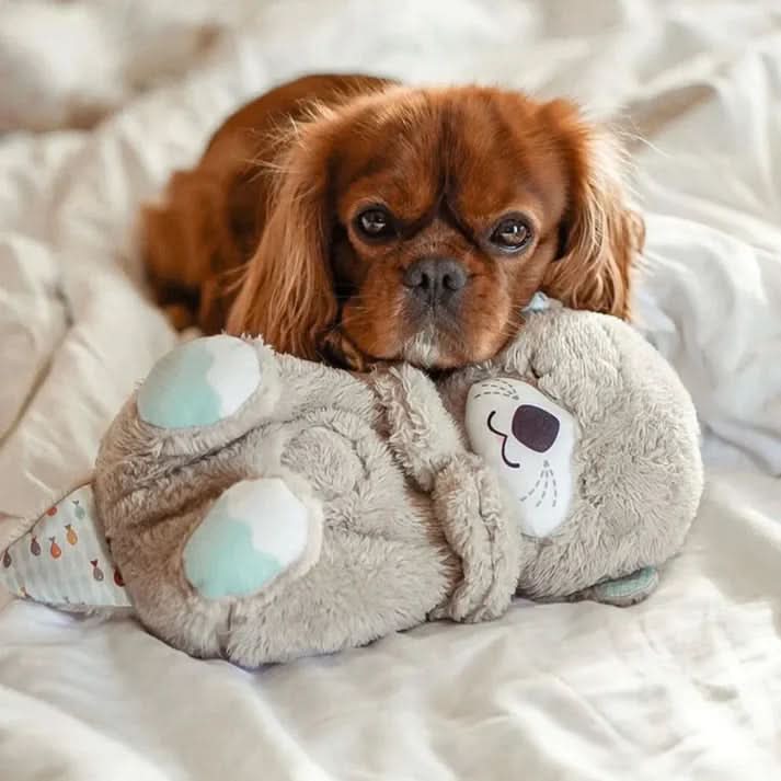 corlado | Beruhigendes Kuscheltier für Welpen & Kätzchen
