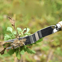 corlado | Präziser Unkrautentferner mit ergonomischem Griff für einfache Handhabung