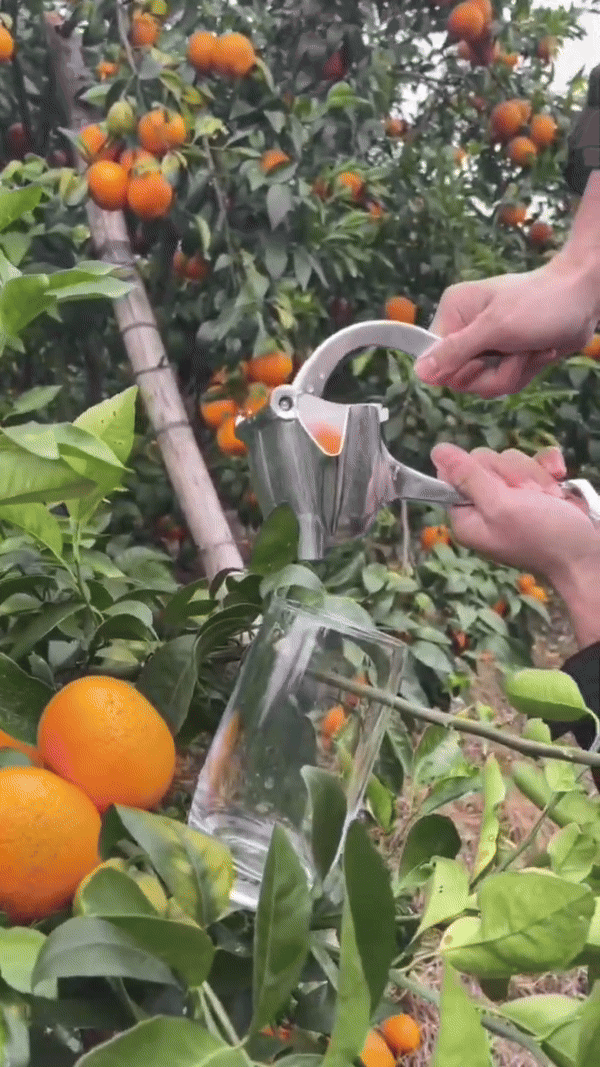 corlado | Fruchtsaft Presse