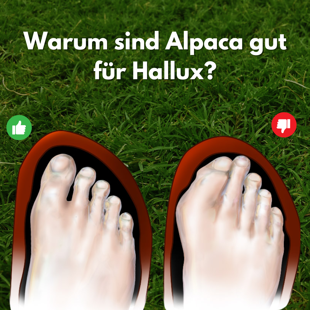 Alpaca Hallux  – ergonomische & schmerzlindernde Hallux Valgus Leder-Barfußschuhe