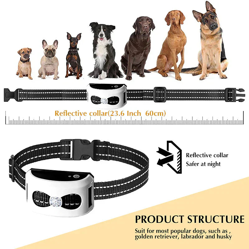 corlado | 2-in-1 Kabellose Hundezwinger und Outdoor Trainingshalsband