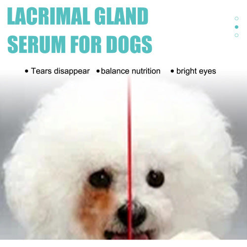 Tränenflecken-Serum für Hunde