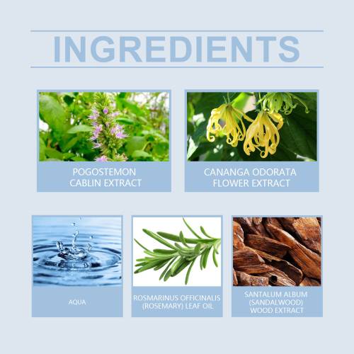 Sandelholz Rosmarin Herrenparfum