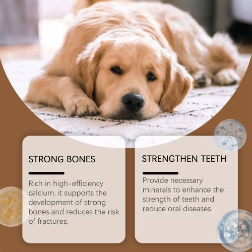 Milch-Calcium-Tabletten für Hunde