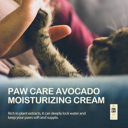 Avocado Pfotenbalsam