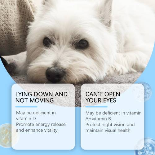 Multivitamin-Tabletten für Hunde