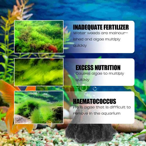 Aquarium Algenentferner