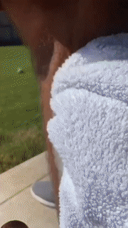 corlado | Schaum-Haarentfernungspray