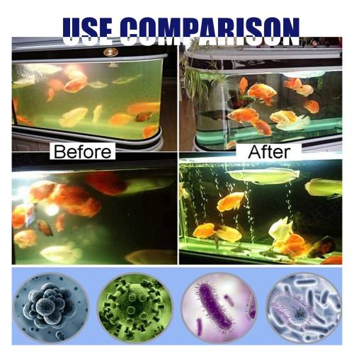 Aquarium Algenentferner