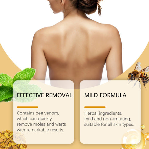 Pfefferminz Phellodendron Hautcreme