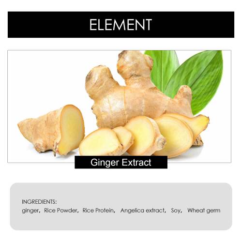 Ingwer Reisprotein Shampoo-Bar