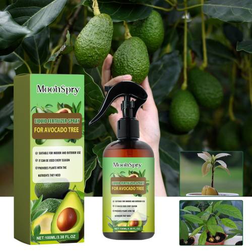 Avocadobaum 3-1-2 Flüssigdünger