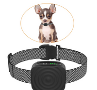 Hundehalsband Anti-Bellen für kleine Hunde, Trainingshilfe
