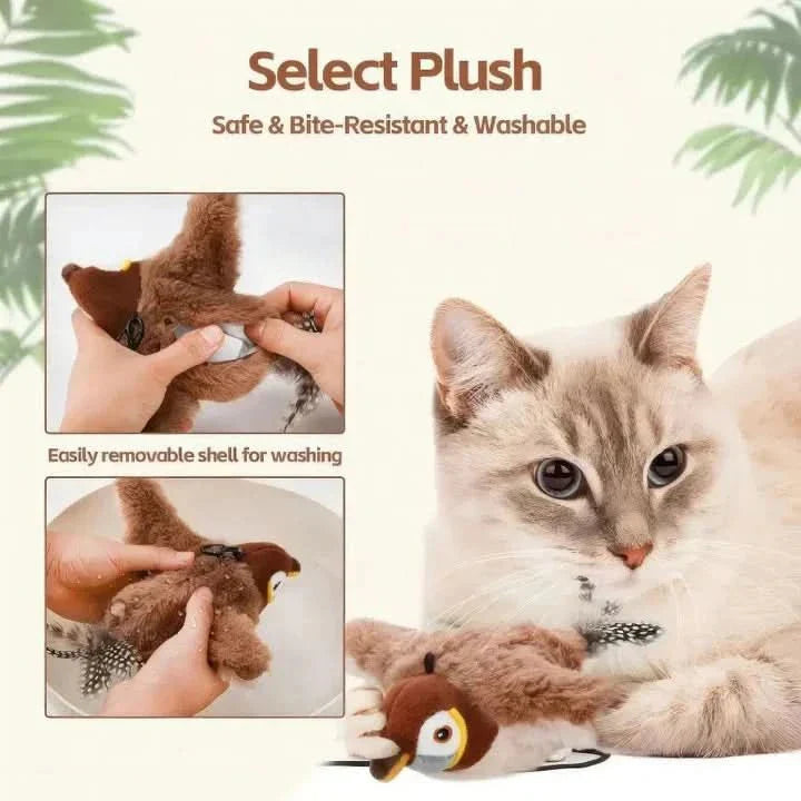 corlado | energiesparend, sicher & perfekt für aktive Katzen