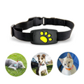 corlado | Smart GPS Katzenhalsband mit Echtzeit-Tracking